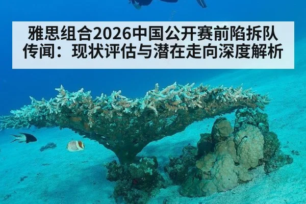 雅思组合2026中国公开赛前陷拆队传闻:现状评估与潜在走向深度解析