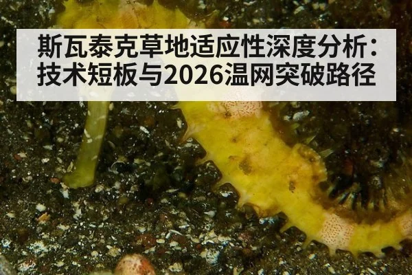 斯瓦泰克草地适应性深度分析:技术短板与2026温网突破路径